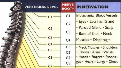 What symptoms are common for a pinched nerve?
